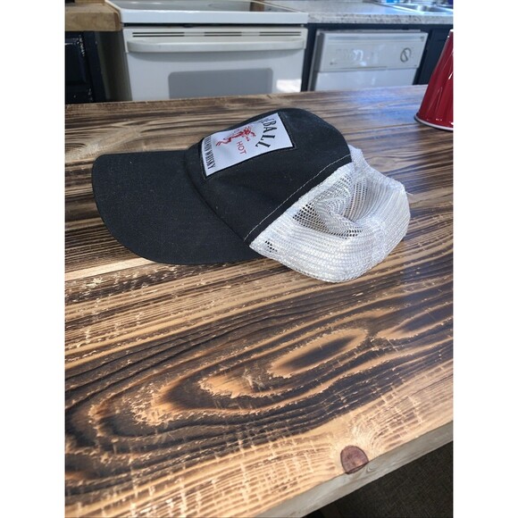 Fireball Cinnamon Trucker Hat Mens Whisky Red Hot Mesh Adjustable Snapback Cap - Picture 4 of 5